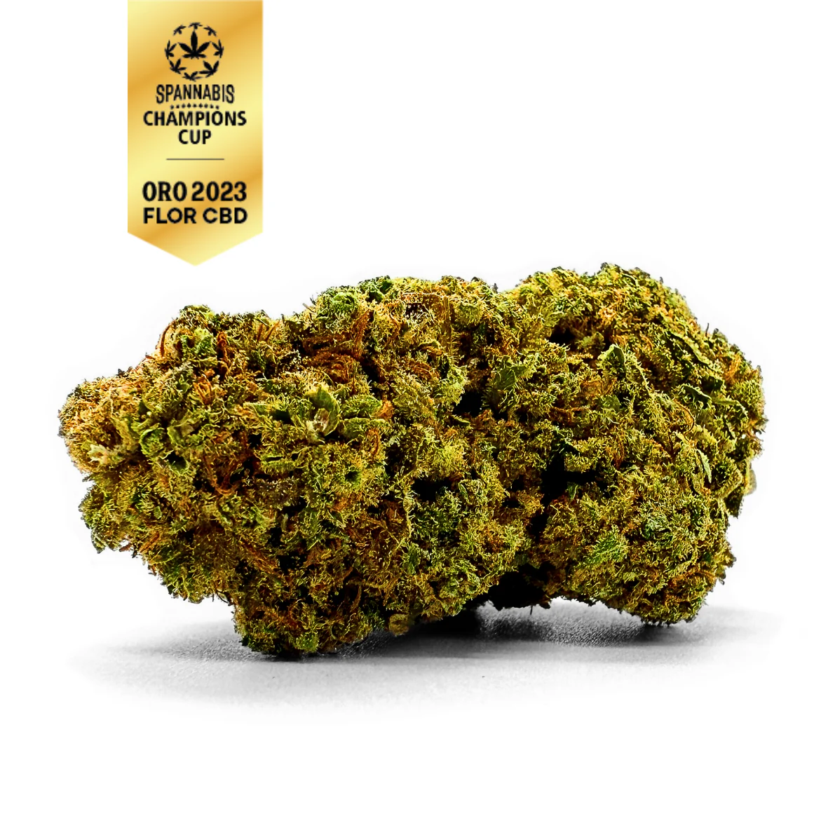 Flor Reina catalana CBD de La Catalana