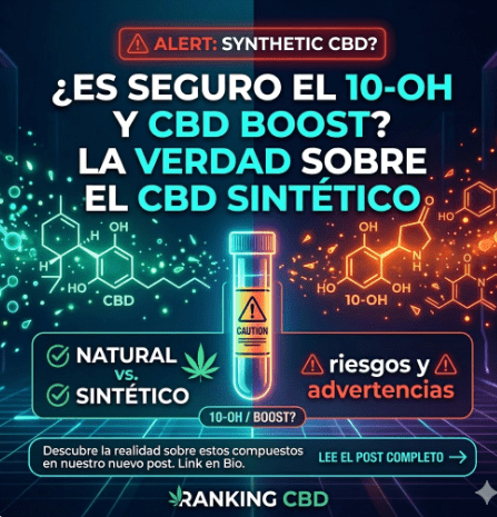 Infografía SEO sobre los riesgos del CBD Sintético (10-OH y CBD Boost) comparado con el CBD Natural de RankingCBD.