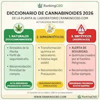 Infografía comparativa de cannabinoides 2026 de RankingCBD: Diferencias entre compuestos naturales (fitocannabinoides), semisintéticos y sintéticos con recomendaciones de seguridad.