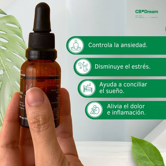 Flor CBD da CBDream