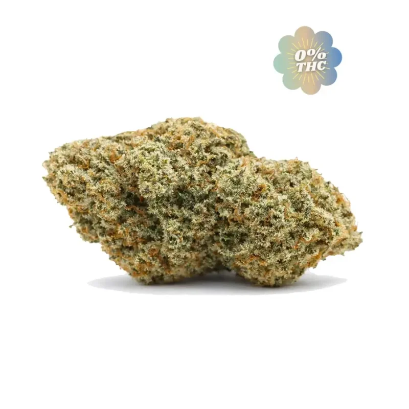 Orange Bud CBD 0% THC