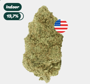Fleur CBD Cali Gelato